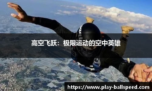 球速体育公司